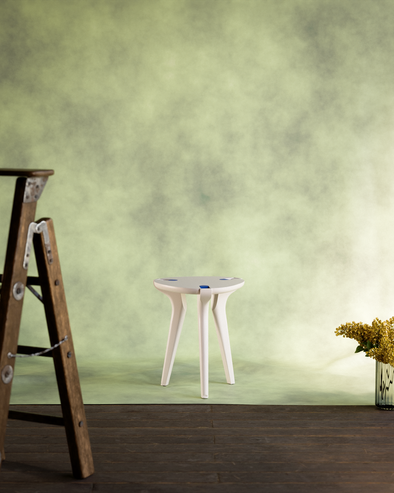 Bestseller 1_White mono CVBleu